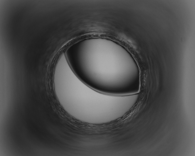 X0000098091352200804040718