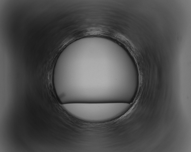 X0000098091353200804040718