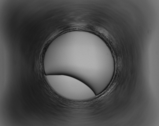X0000098091354200804040718