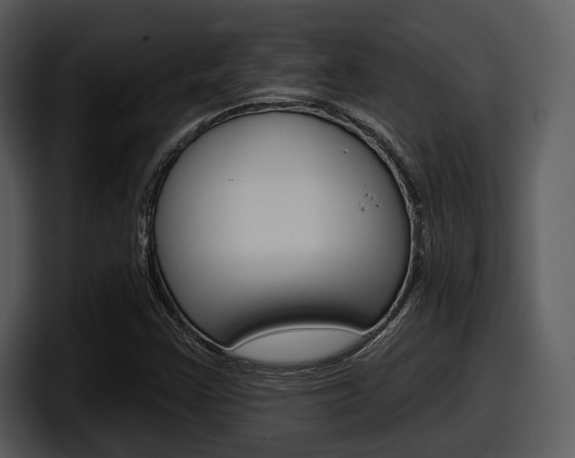 X0000098091355200804040718