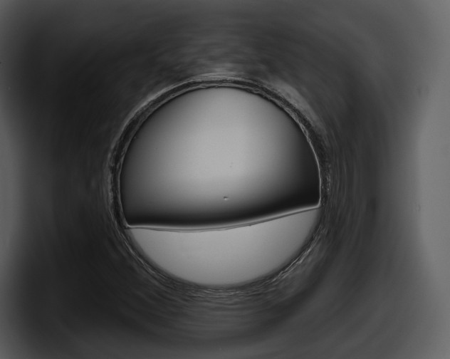X0000098091356200804040718