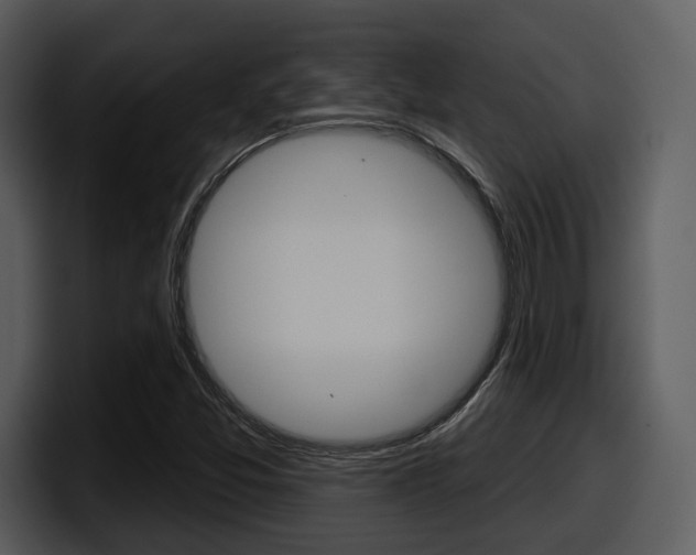 X0000098091357200804040718