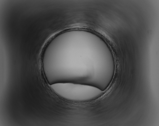 X0000098091358200804040718