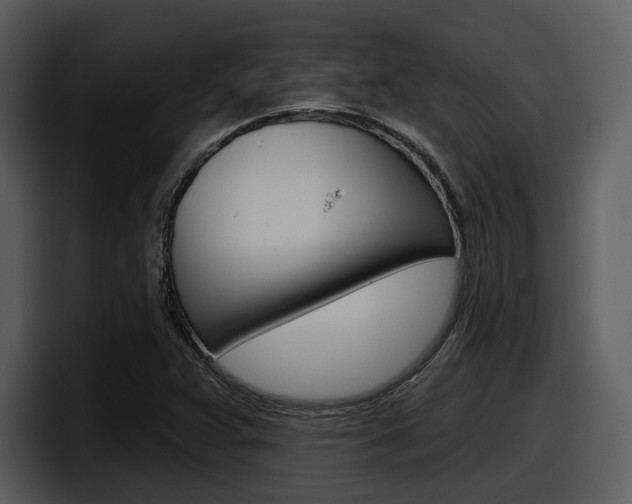 X0000098091359200804040718