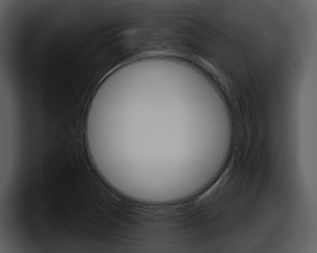 X0000098091361200804040718