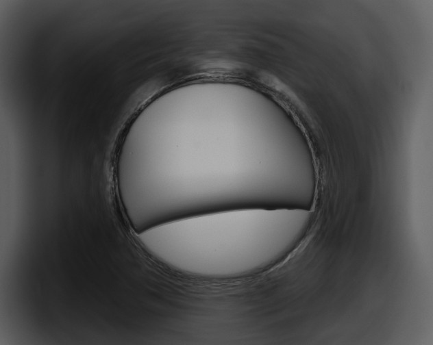 X0000098091362200804040718