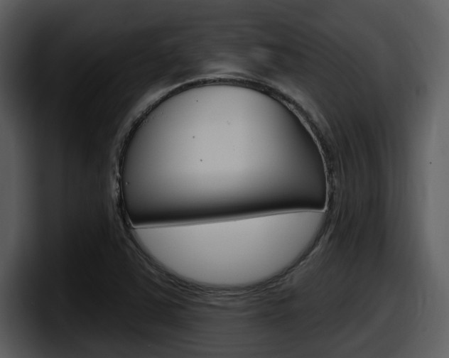 X0000098091363200804040718