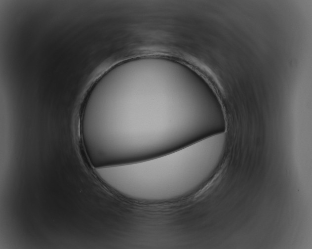 X0000098091365200804040718