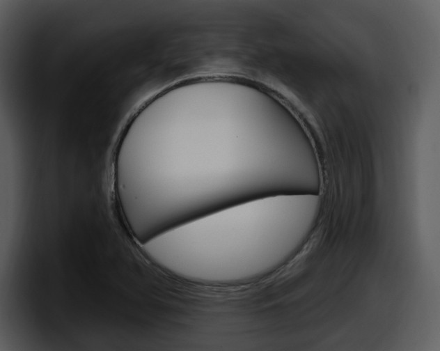X0000098091366200804040718