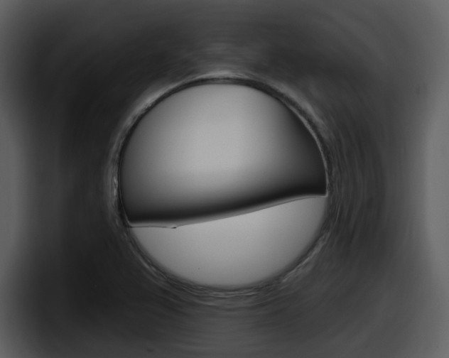 X0000098091367200804040718