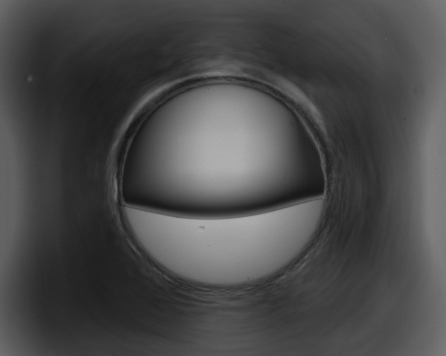 X0000098091368200804040718