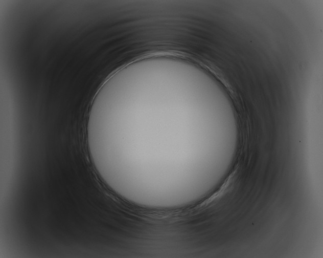 X0000098091369200804040718