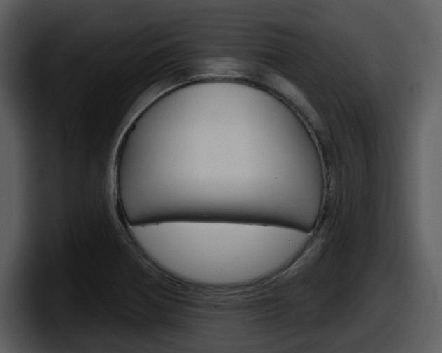 X0000098091370200804040718