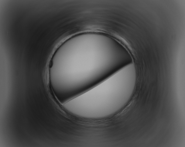 X0000098091371200804040718