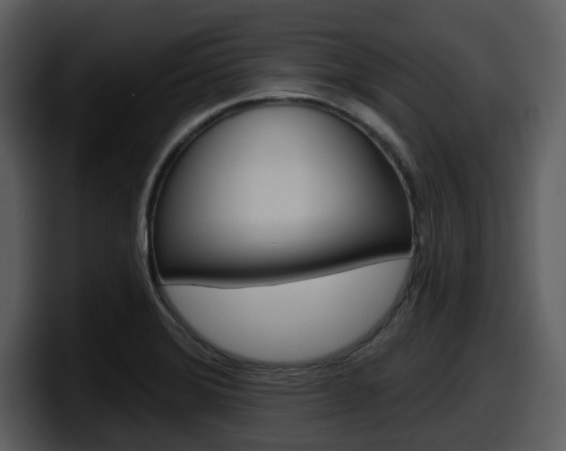 X0000098091372200804040718