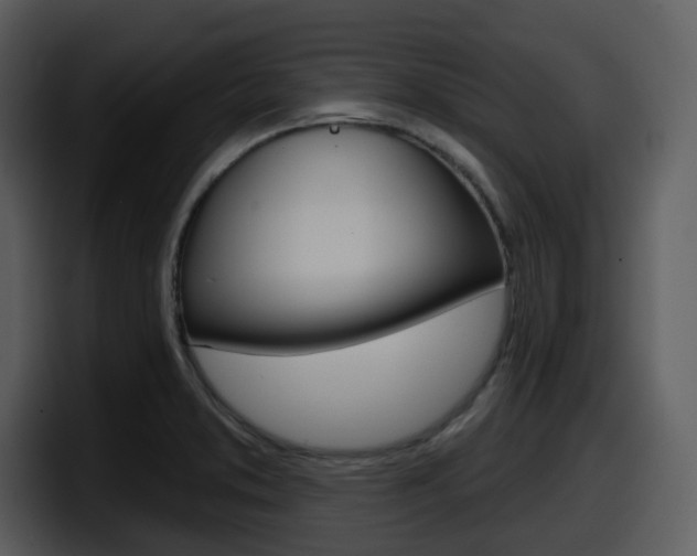 X0000098091373200804040718