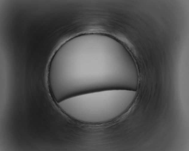 X0000098091374200804040718