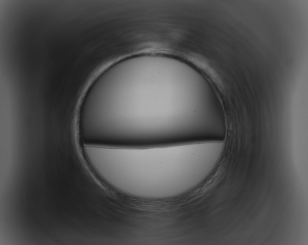 X0000098091375200804040718