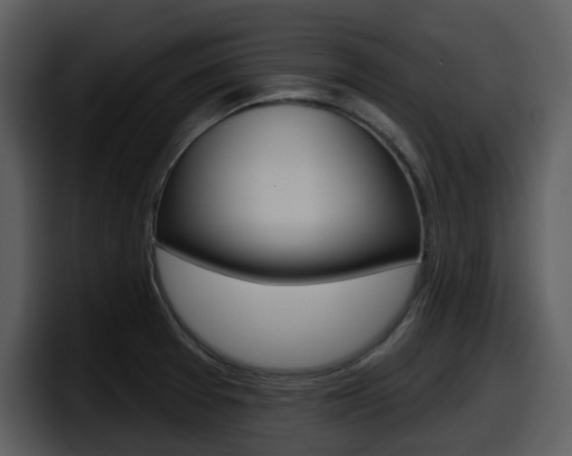 X0000098091377200804040718