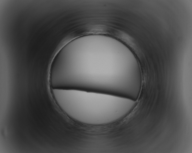 X0000098091378200804040718
