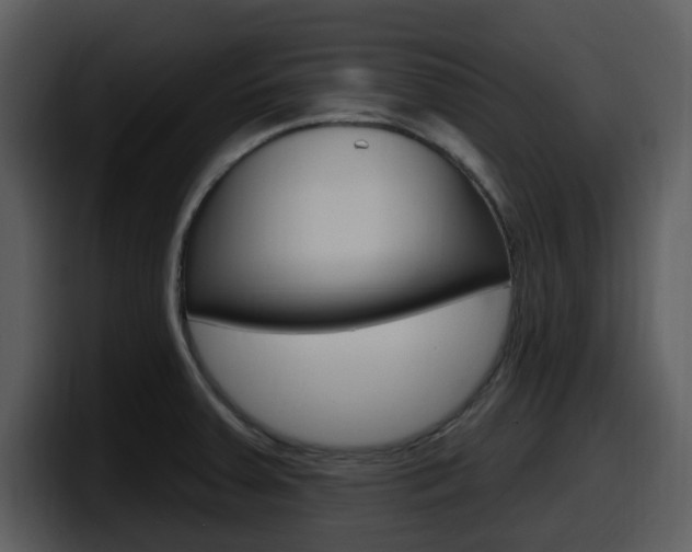 X0000098091379200804040718