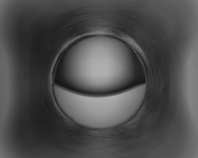 X0000098091380200804040718