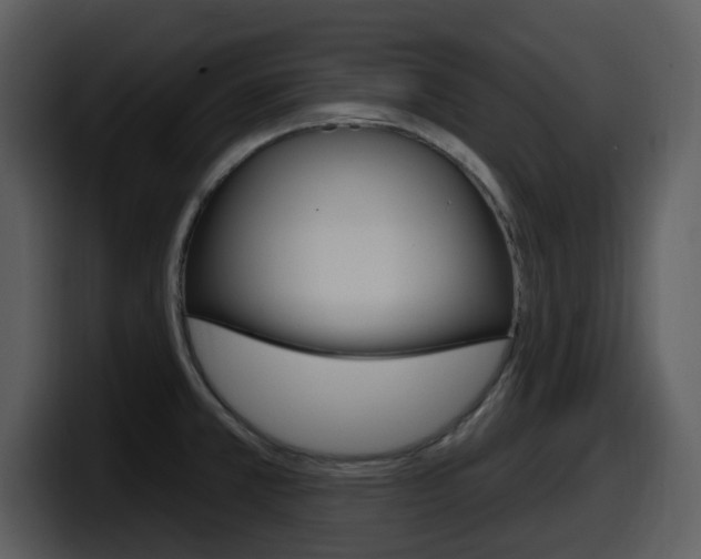 X0000098091381200804040718