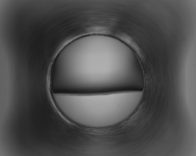 X0000098091383200804040718