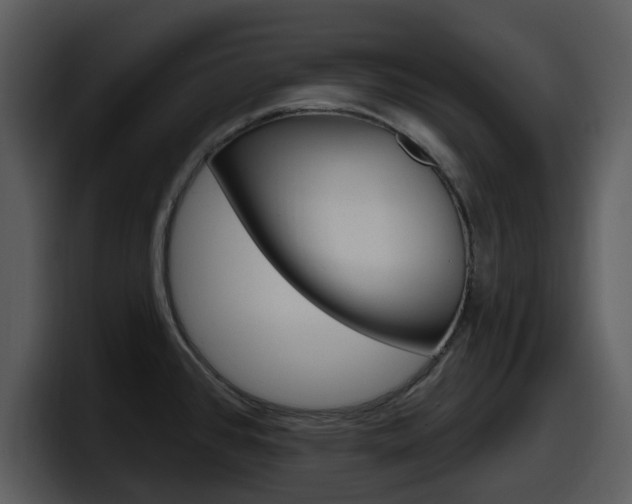X0000098091384200804040718