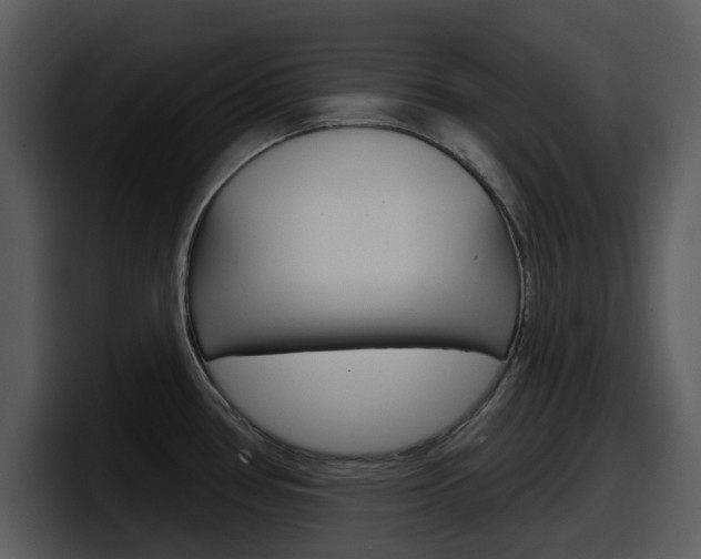 X0000098091386200804040718