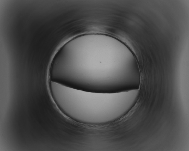 X0000098091387200804040718