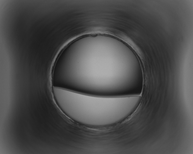 X0000098091388200804040718