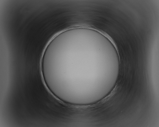 X0000098091389200804040718