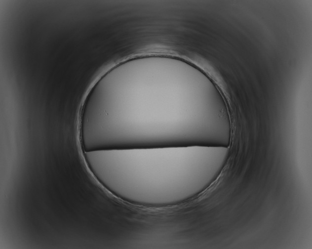 X0000098091390200804040718