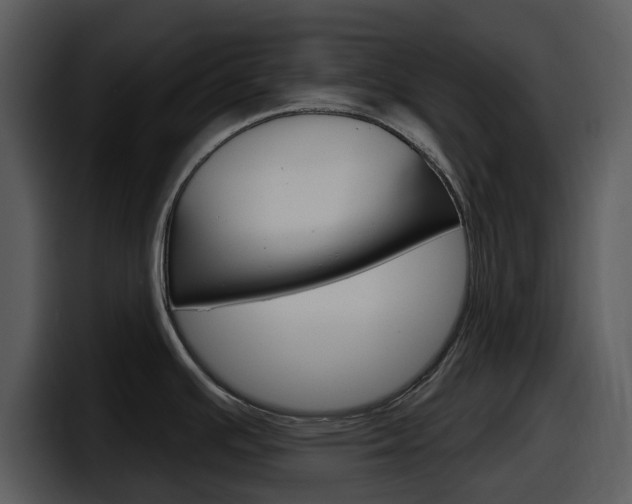 X0000098091391200804040718