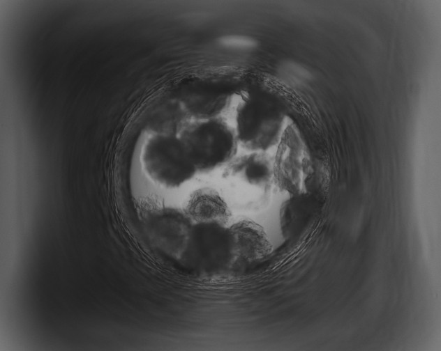X0000098091393200804040717