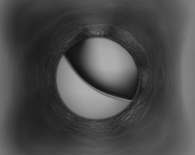 X0000098091394200804040717