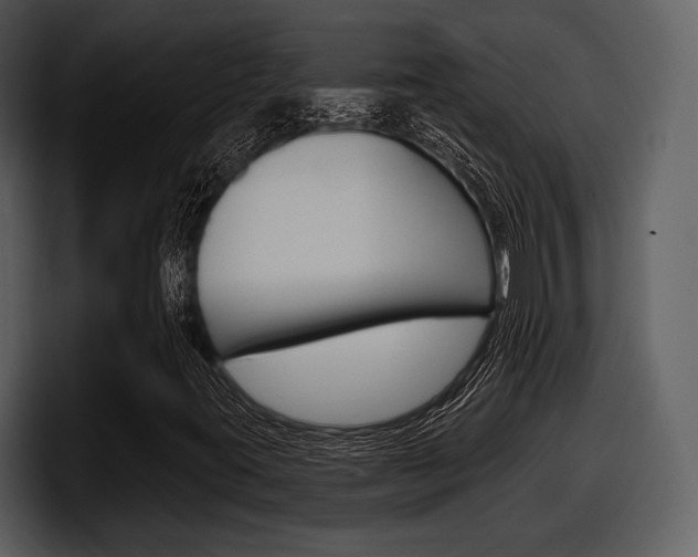 X0000098091395200804040717