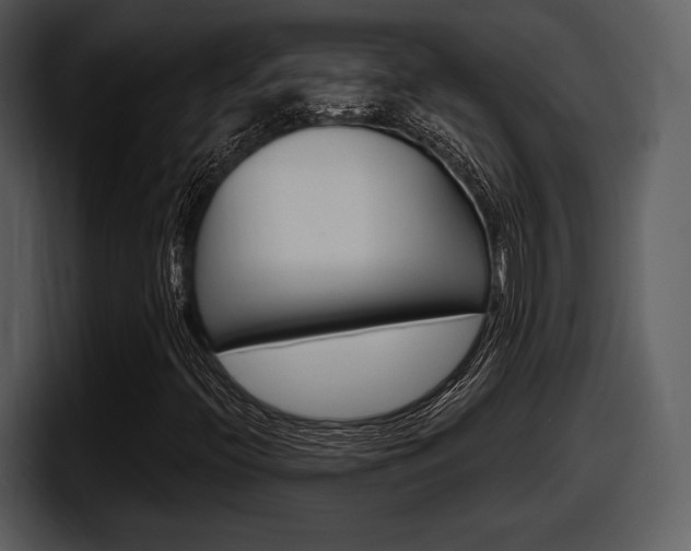 X0000098091396200804040717