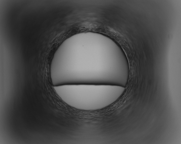 X0000098091397200804040717