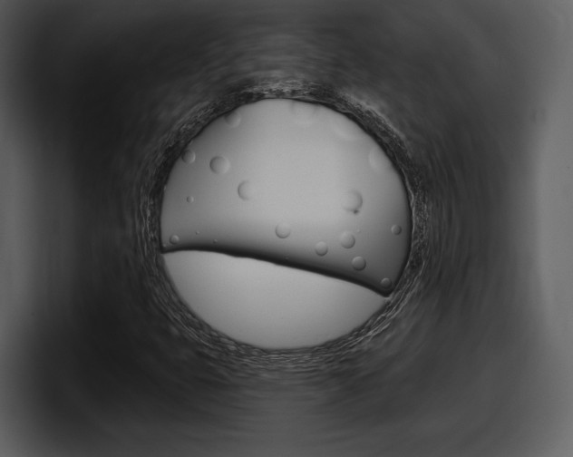 X0000098091399200804040717