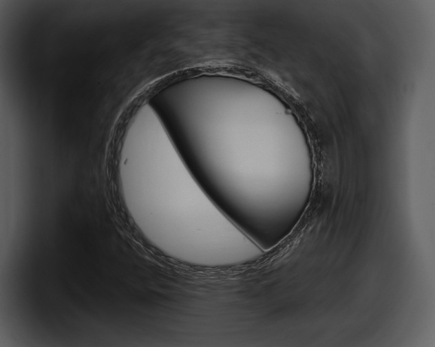 X0000098091400200804040717