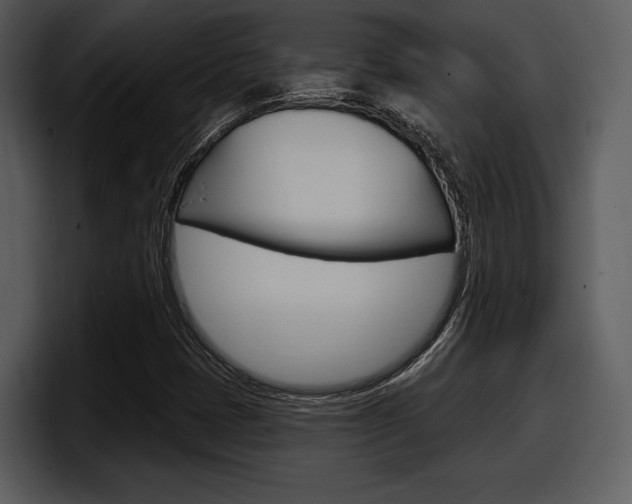 X0000098091401200804040717