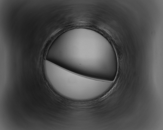X0000098091402200804040717
