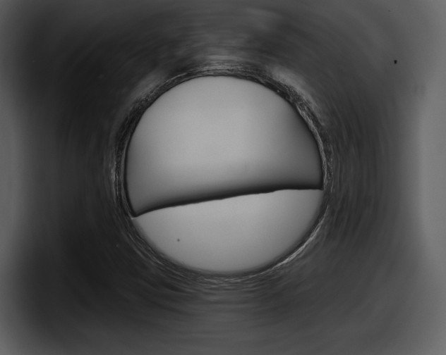 X0000098091403200804040717