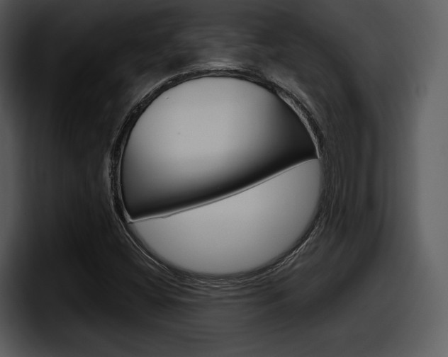 X0000098091404200804040717