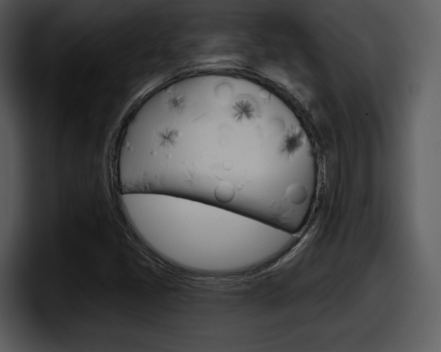 X0000098091405200804040717