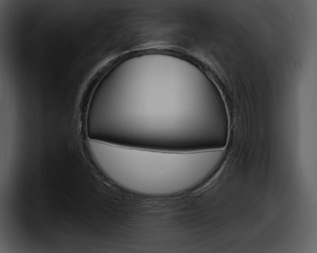 X0000098091406200804040717
