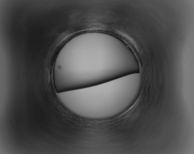 X0000098091407200804040717