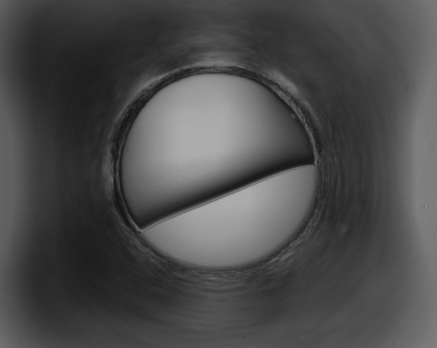 X0000098091408200804040717